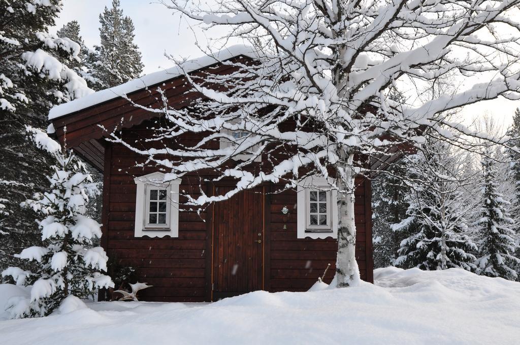 Cottage On Wild River In Lapland/Sweden Karlsten Bilik gambar