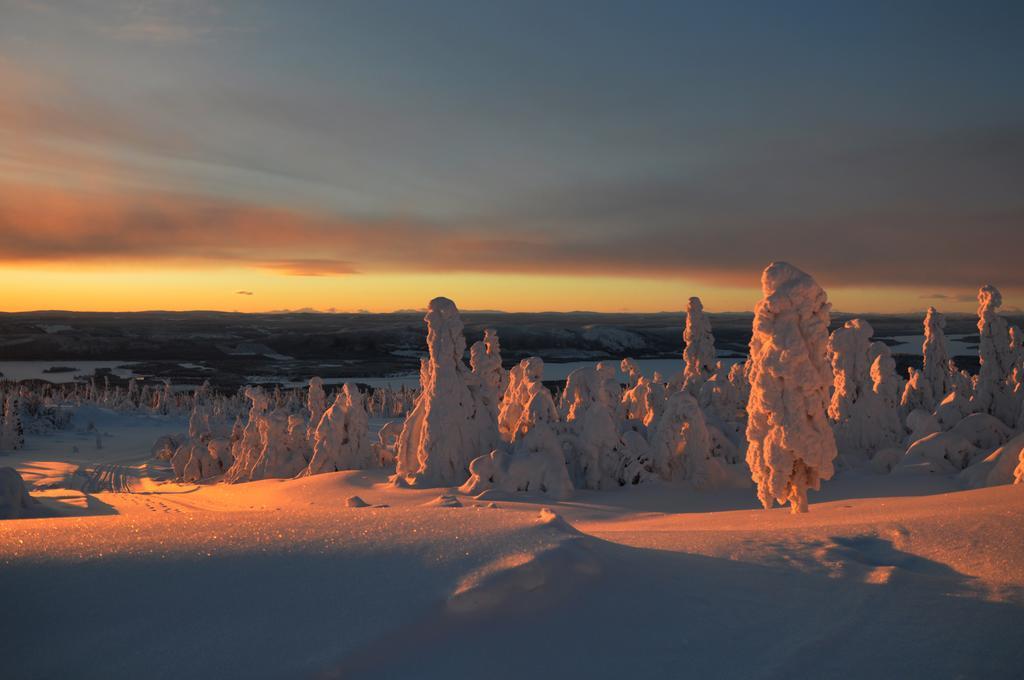 Cottage On Wild River In Lapland/Sweden Karlsten Bilik gambar